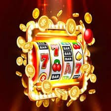 36666bet